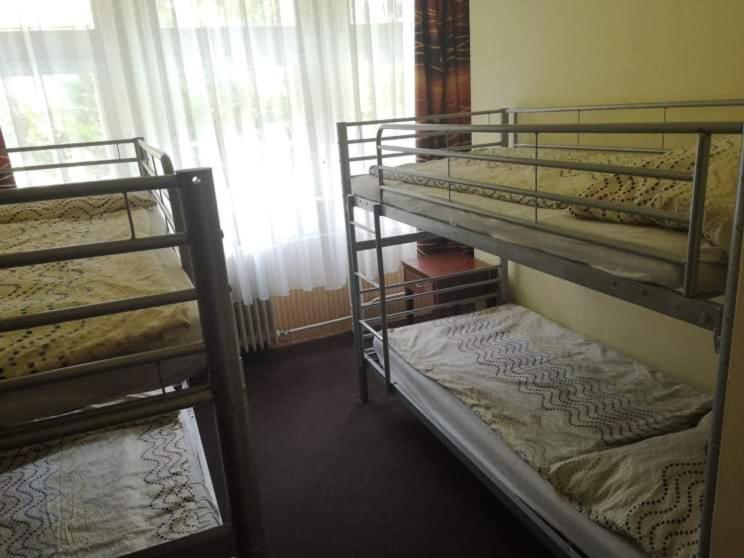 Fenyves Panzio Bed & Breakfast ชิโอฟก ภายนอก รูปภาพ